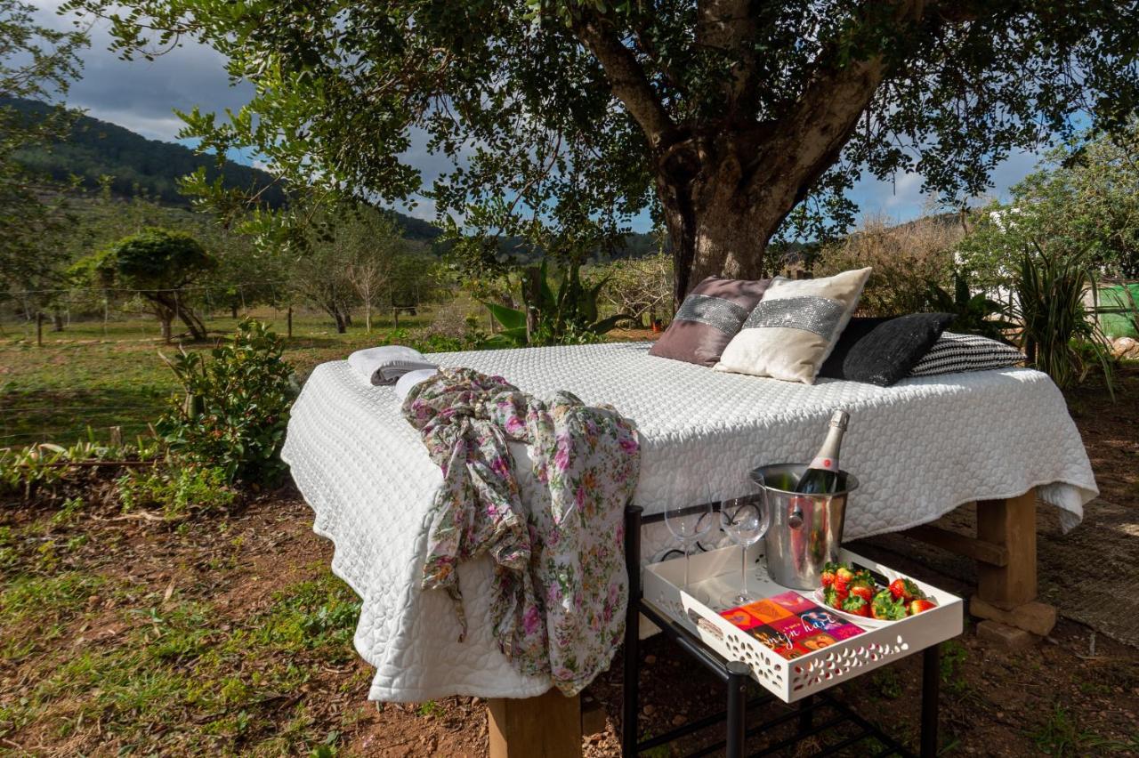 New! Cova Camp * Sant Antoni de Portmany