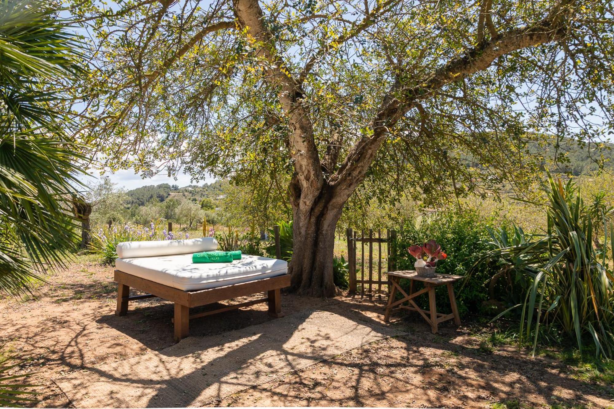 New! Cova Camp *