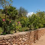 Villa Can Cova Camp