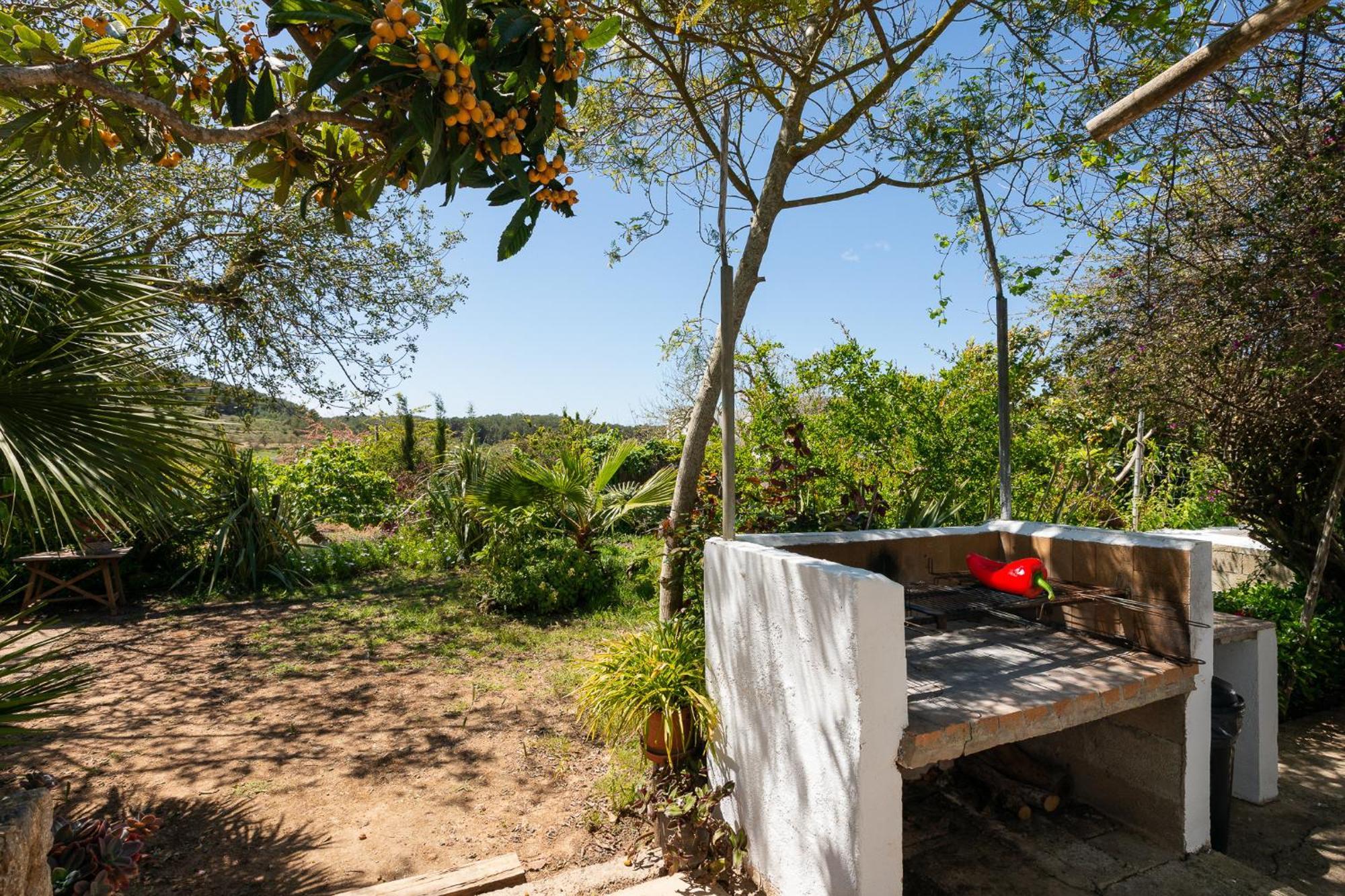 Cova Camp * San Antonio (Ibiza)
