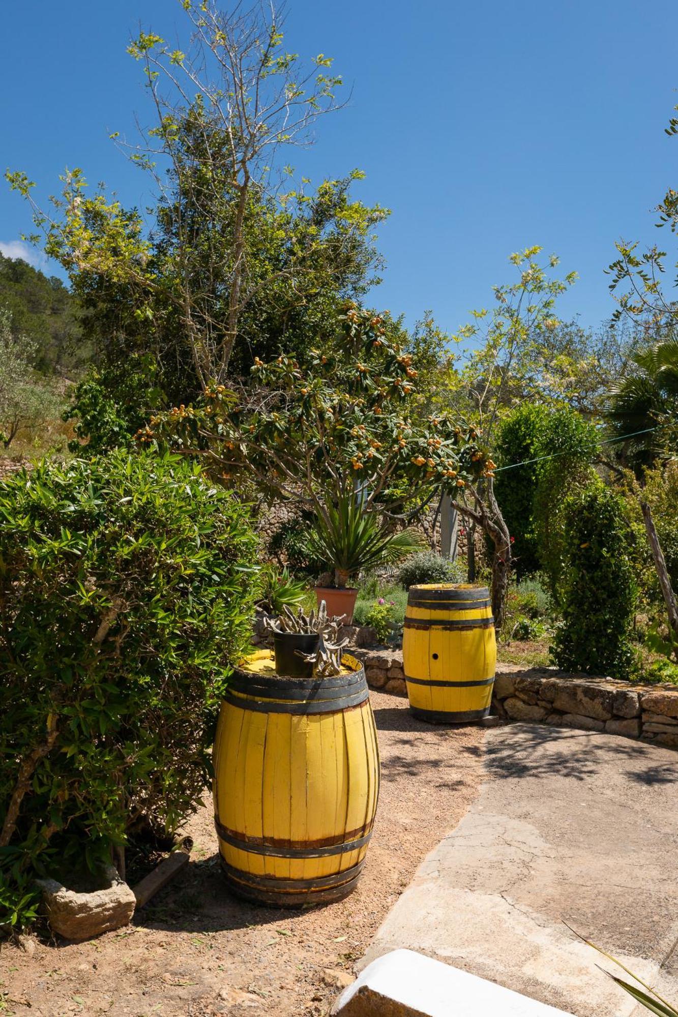 Cova Camp * San Antonio (Ibiza)